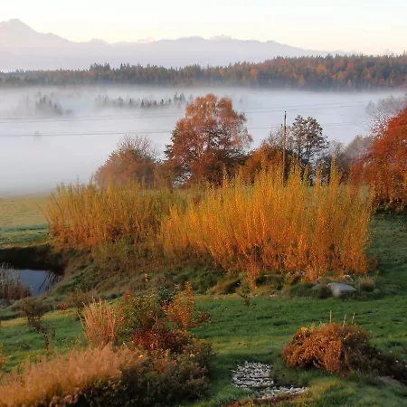 Carinthia By Interhome