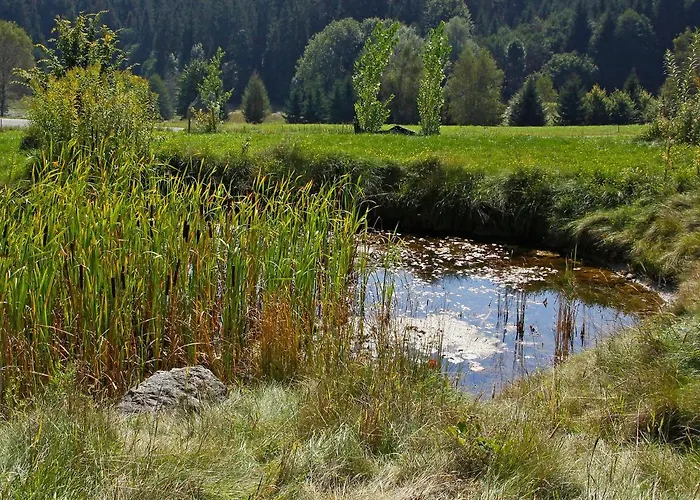 Carinthia By Interhome Villa